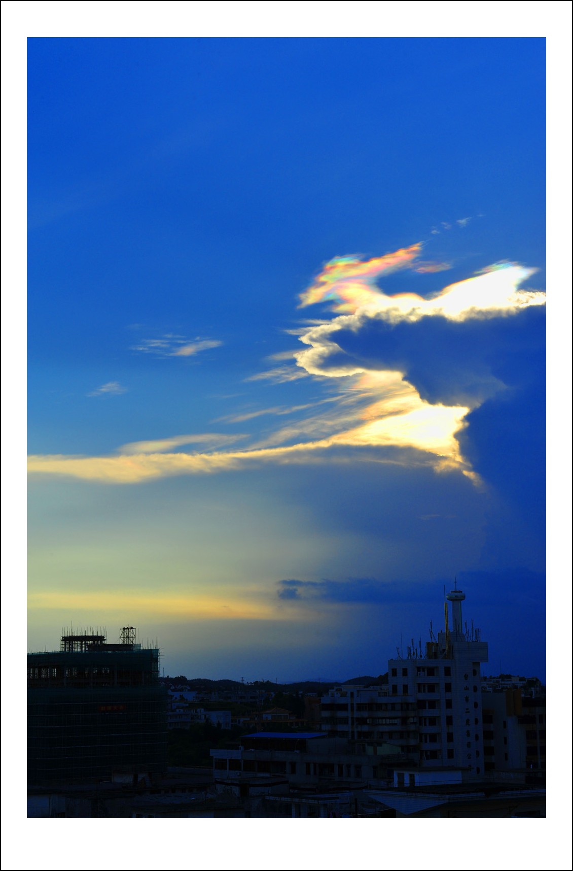 DSC_6187_conew1.jpg