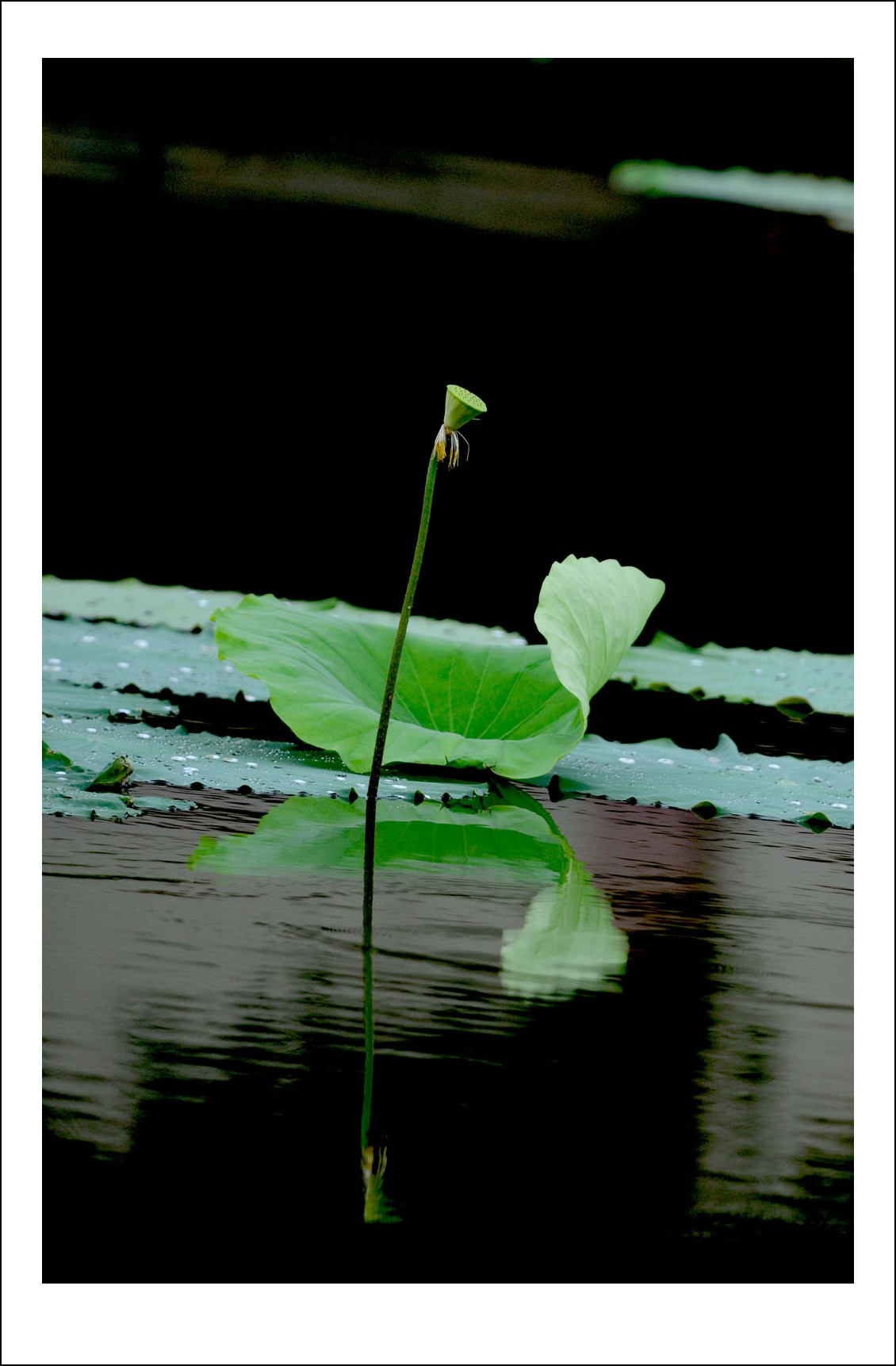 DSC_2889_conew1.jpg