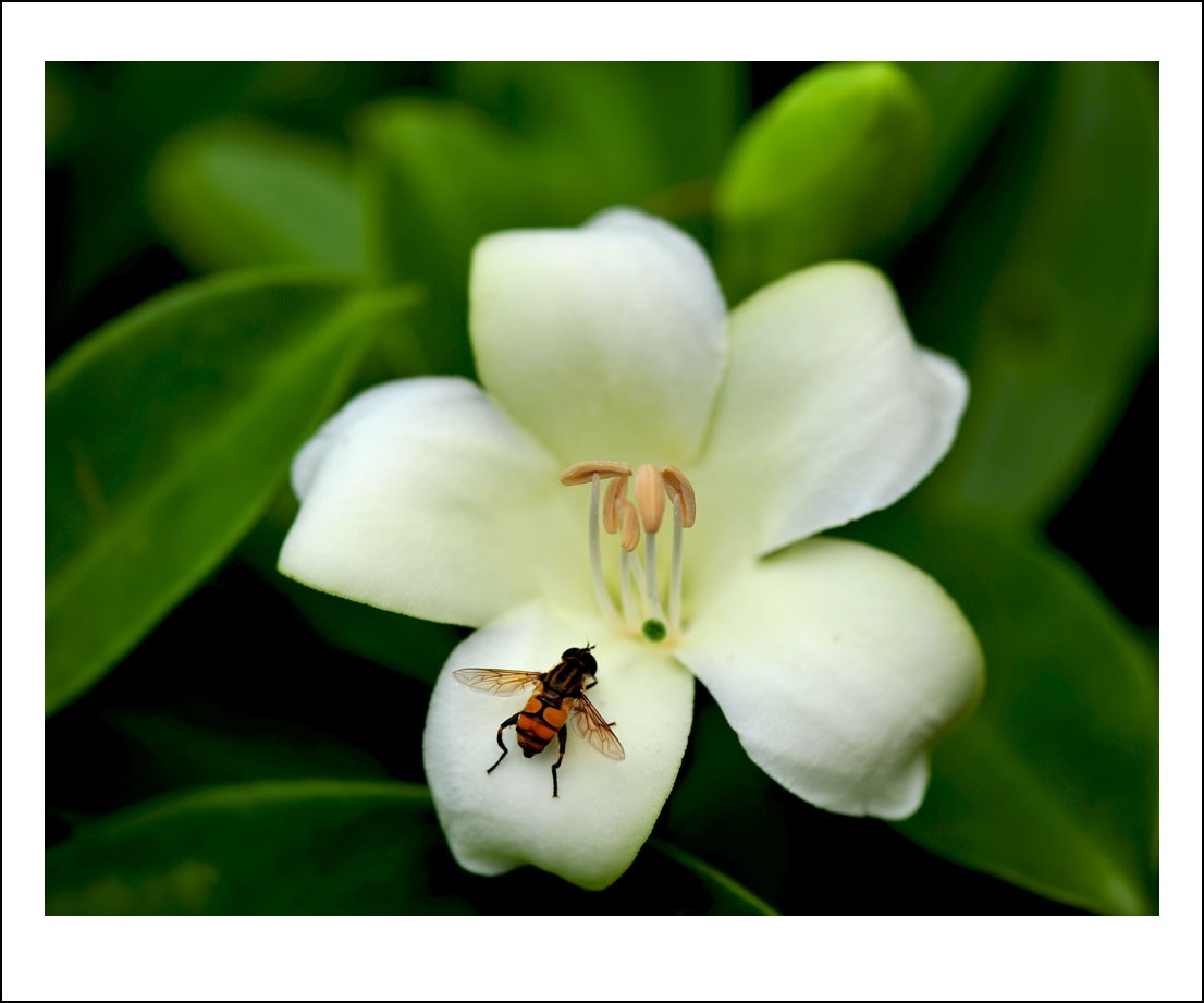DSC_5263_conew1.jpg