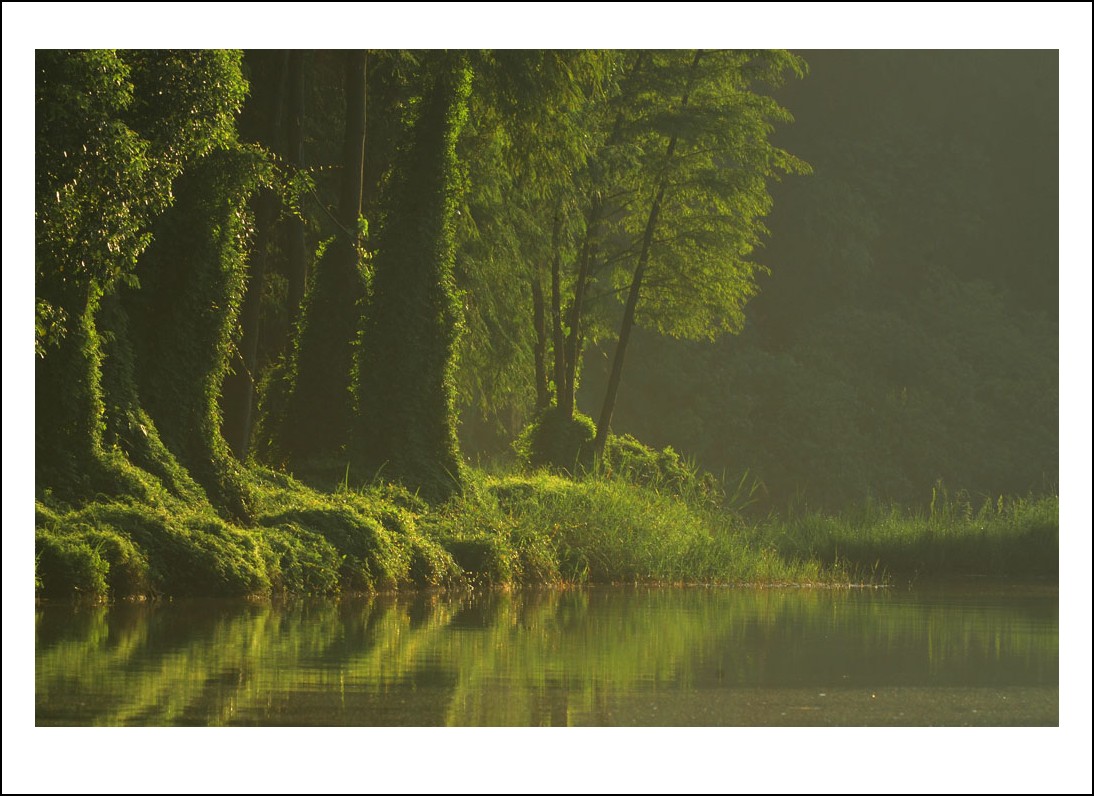 DSC_4183_conew1.jpg