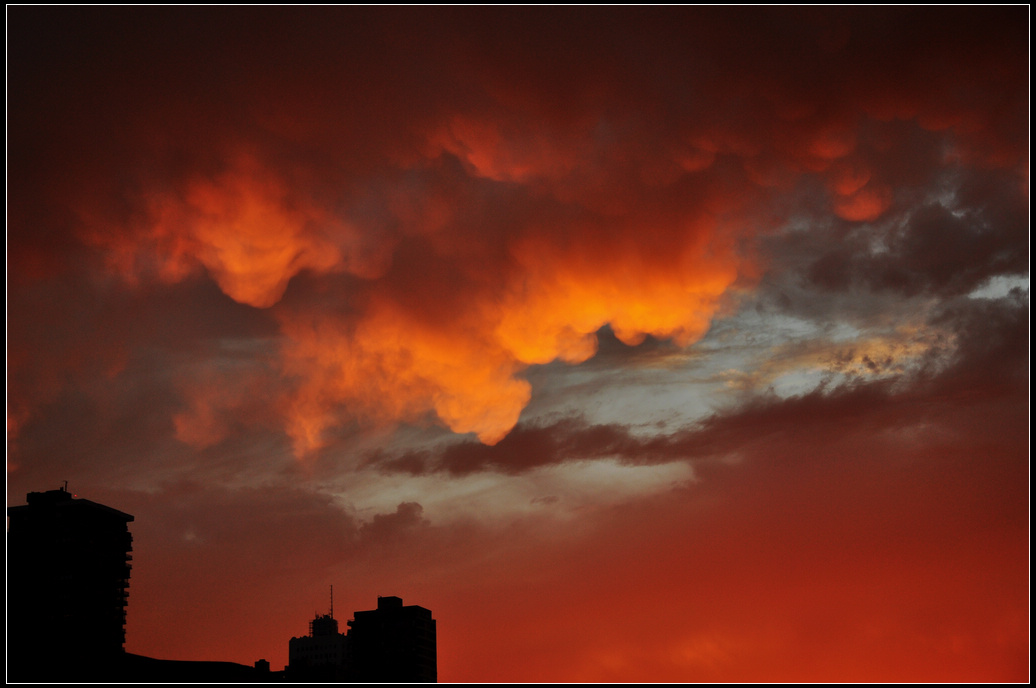 DSC_1507.jpg