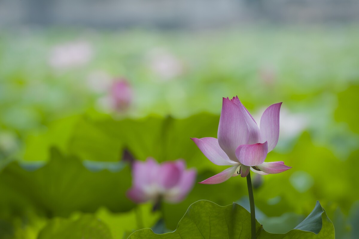 QQͼƬ20140616072250.jpg