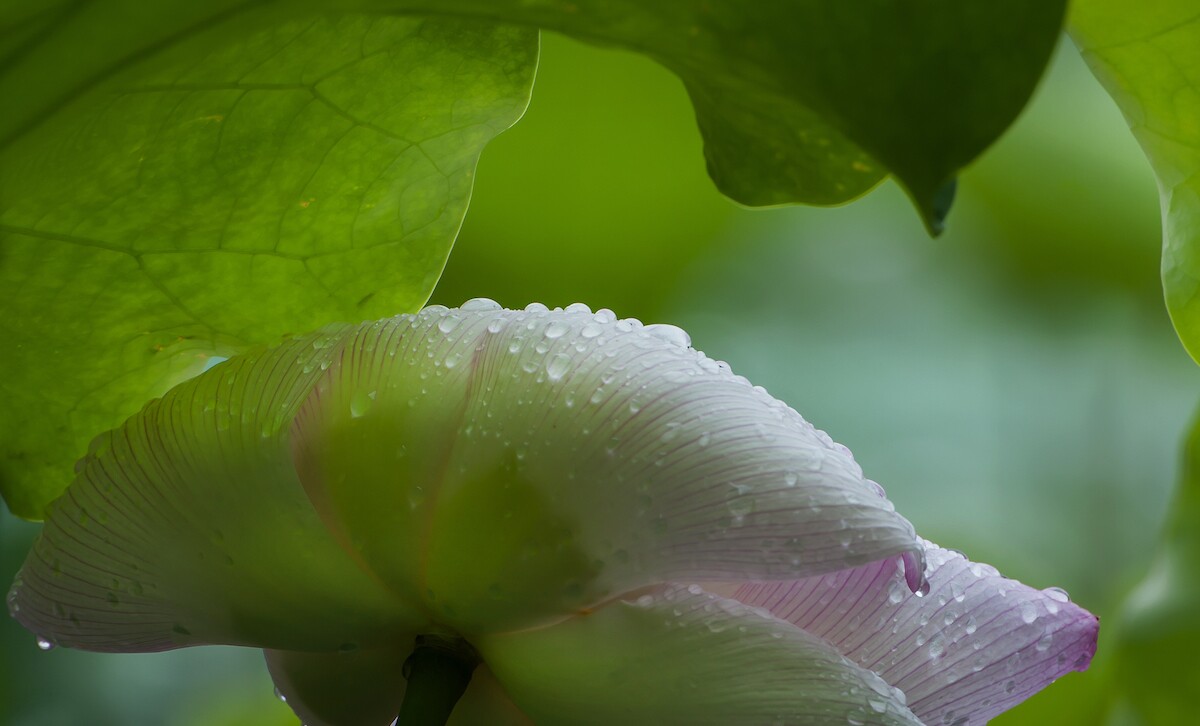 QQͼƬ20140610151544.jpg