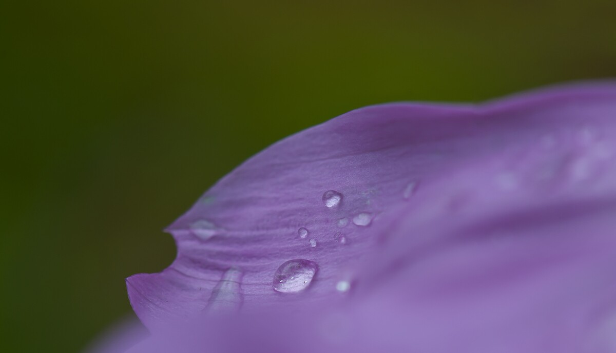 QQͼƬ20140606064324.jpg