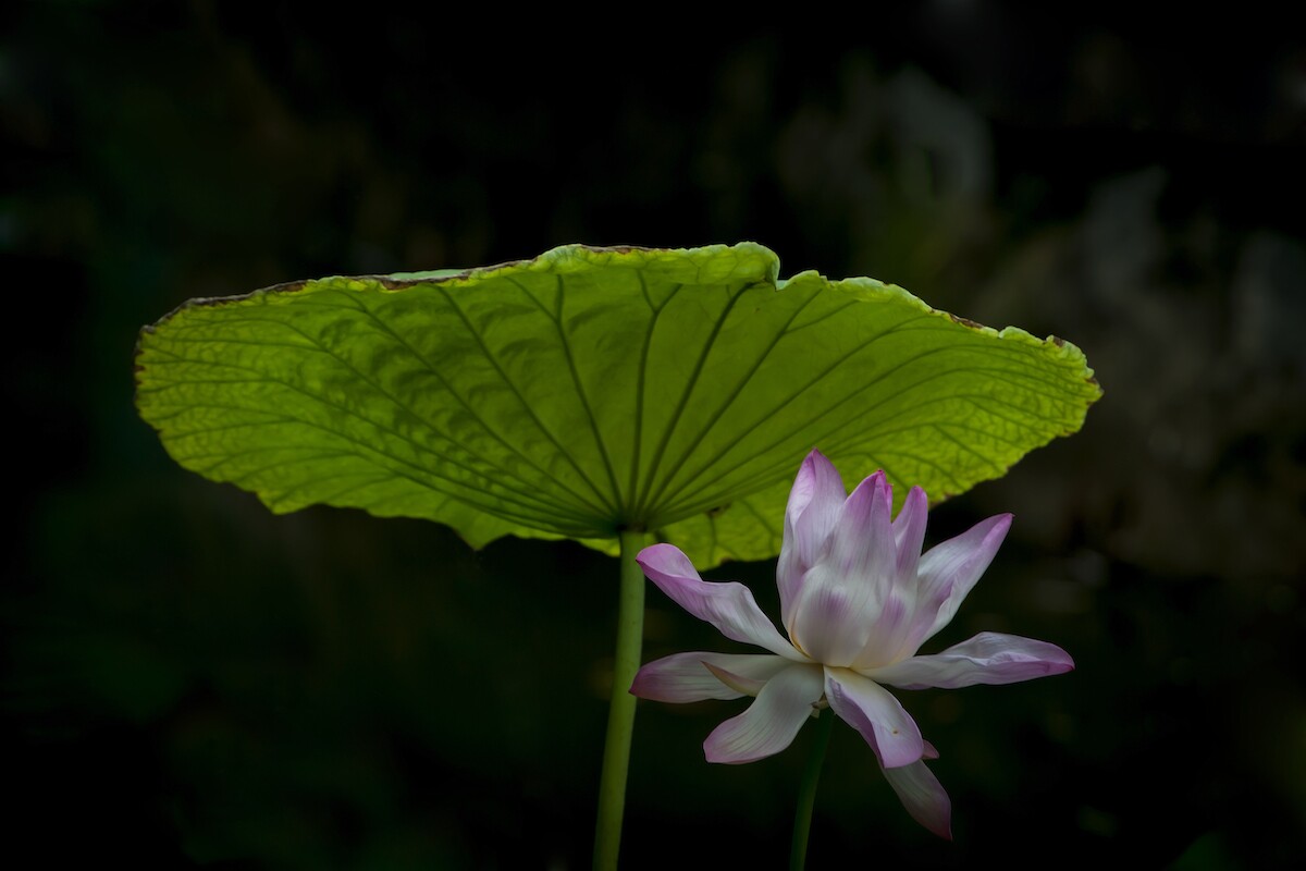 QQͼƬ20140614215509.jpg