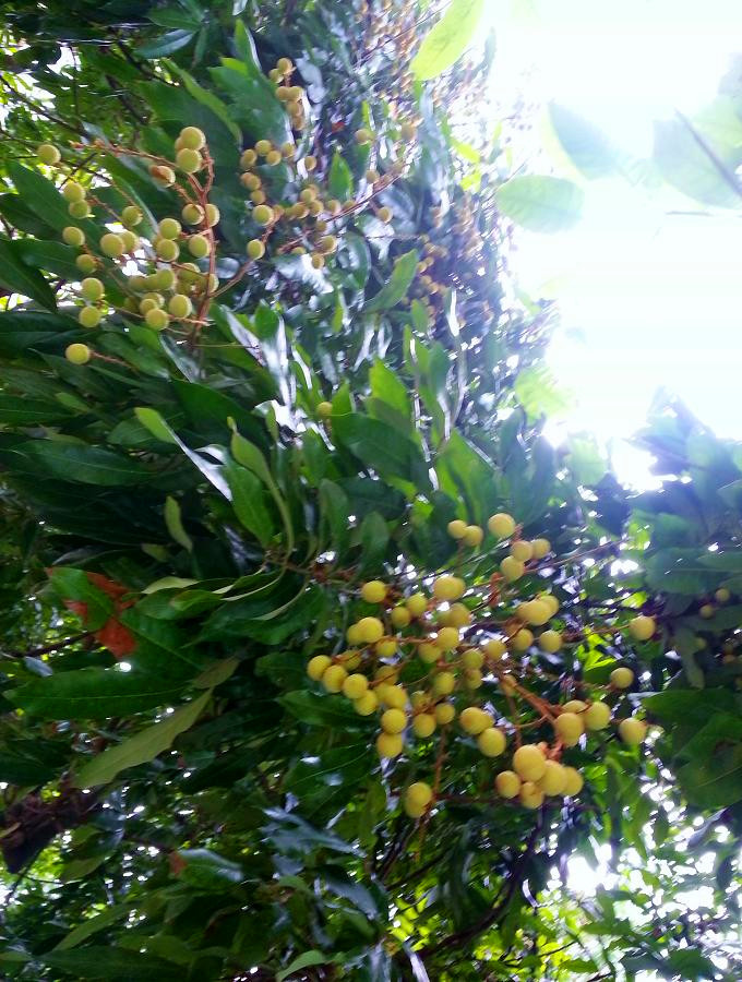 20140621_144938.jpg