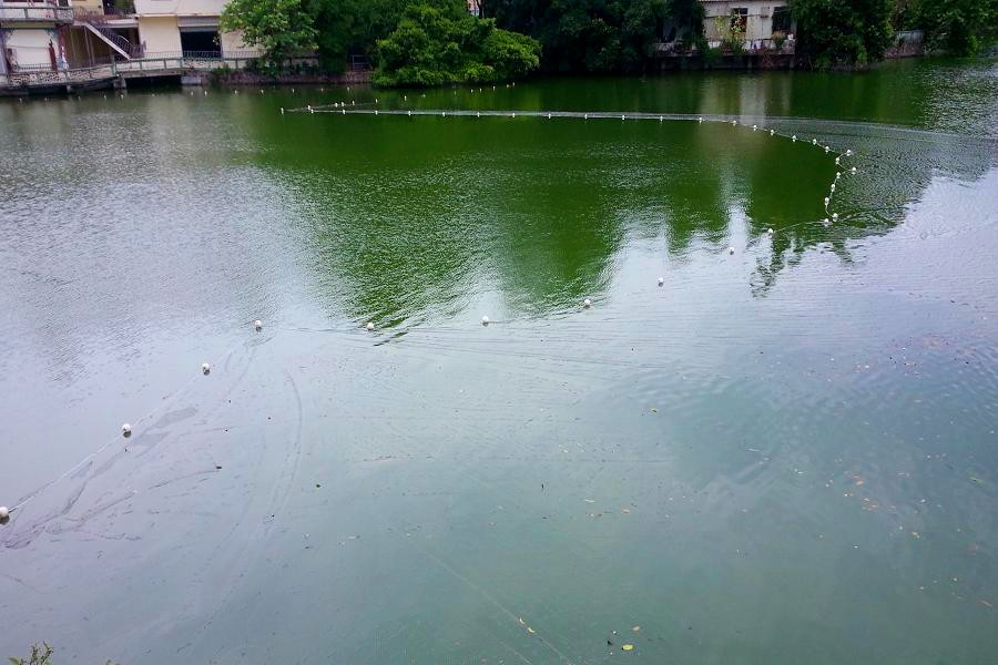 20140621_151905.jpg