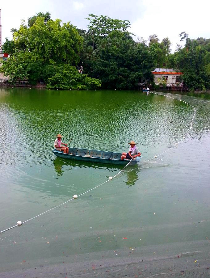 20140621_150329.jpg