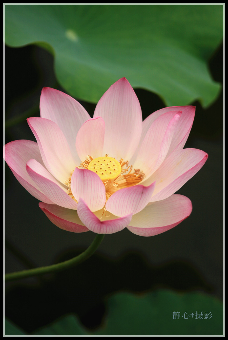 2222 071_����_����.jpg