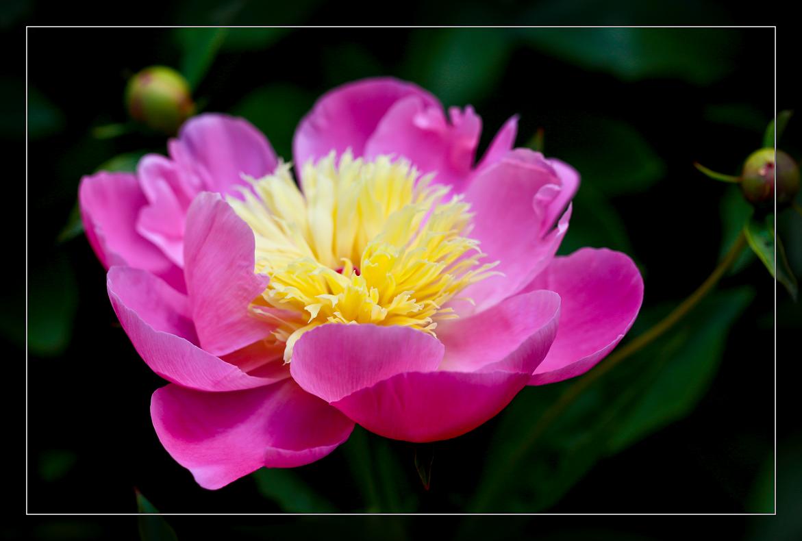 �}�u -05-30-2014--�ձ����@ 171-1.jpg