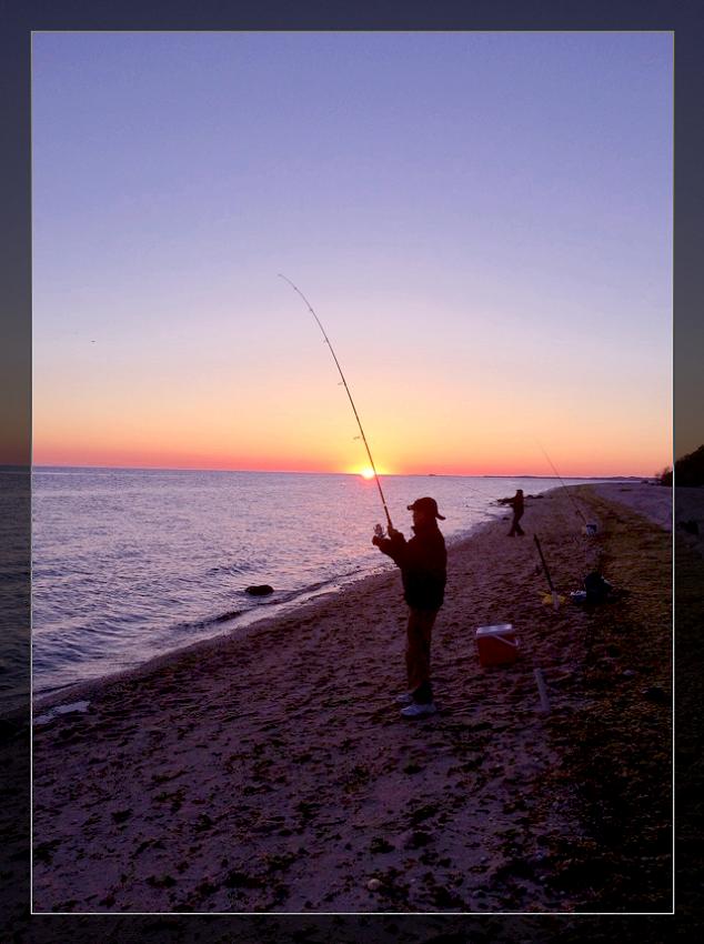 �}�u -IMG_1358-33.jpg