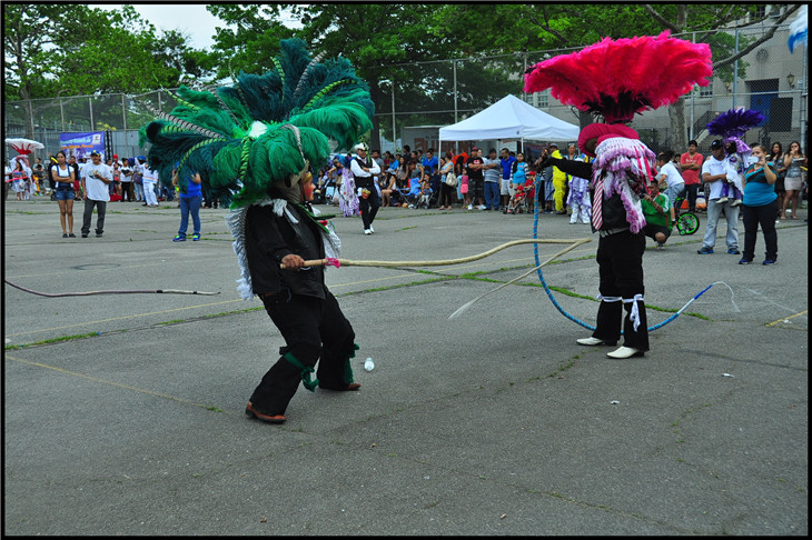 DSC_0800.jpg