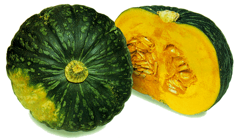 pumpkin3e[1].gif