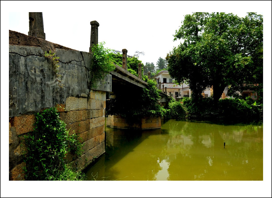 DSC_4797_conew1.jpg