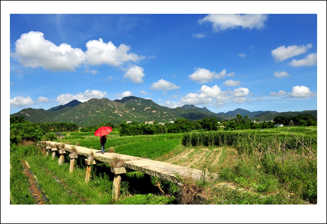 DSC_2434_conew1.jpg