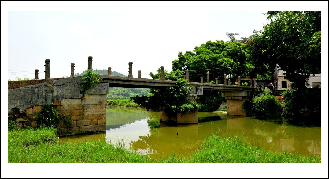 DSC_4798_conew1.jpg