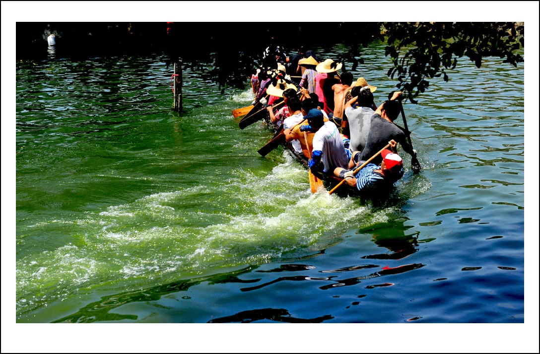 DSC_3070_conew1.jpg