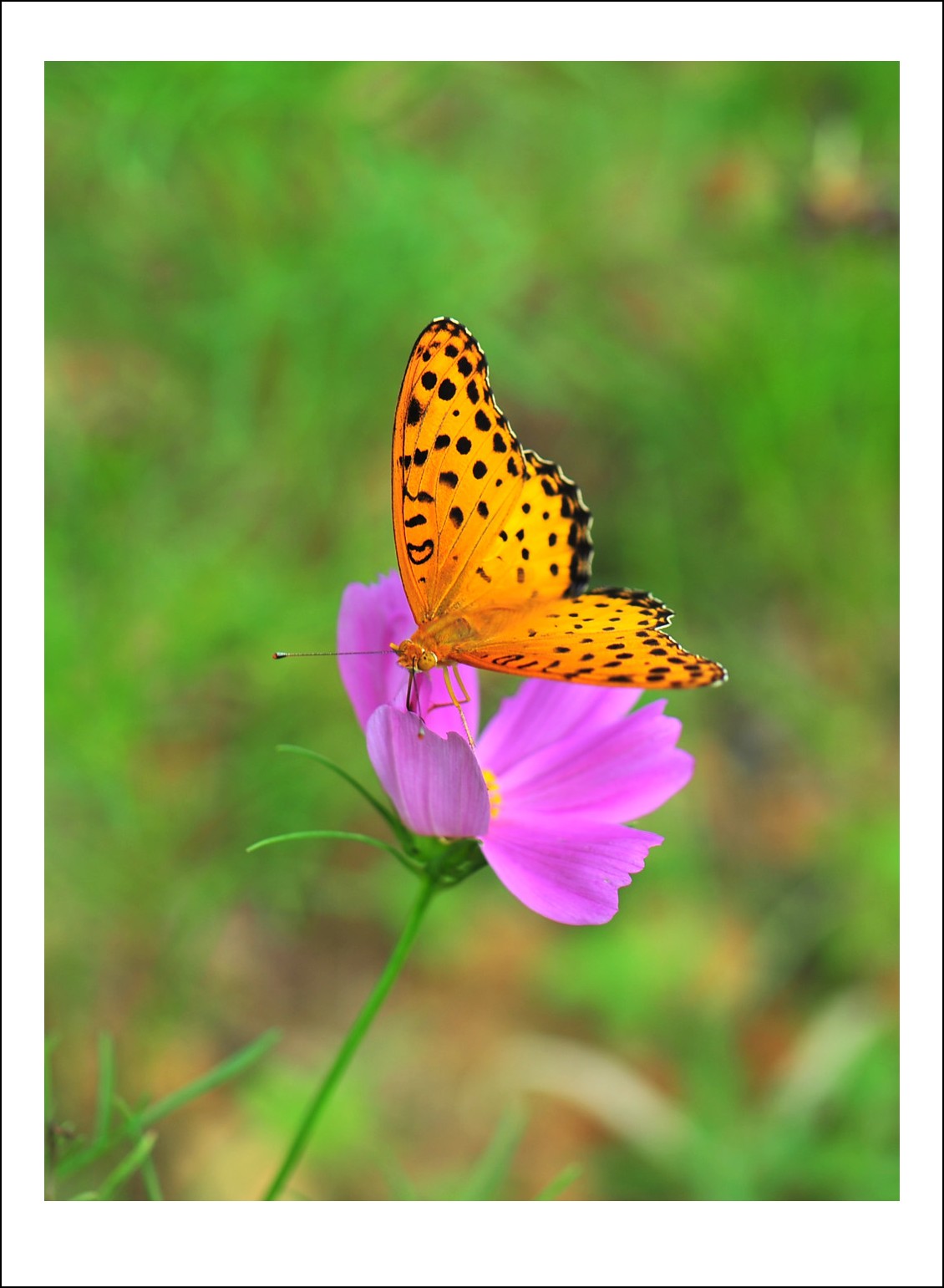 DSC_5762_conew1.jpg