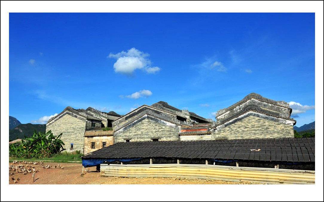 DSC_2589_conew1.jpg