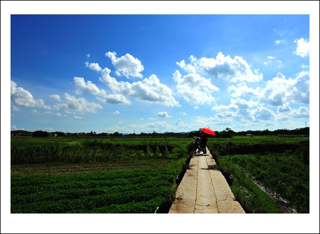DSC_2490_conew1.jpg
