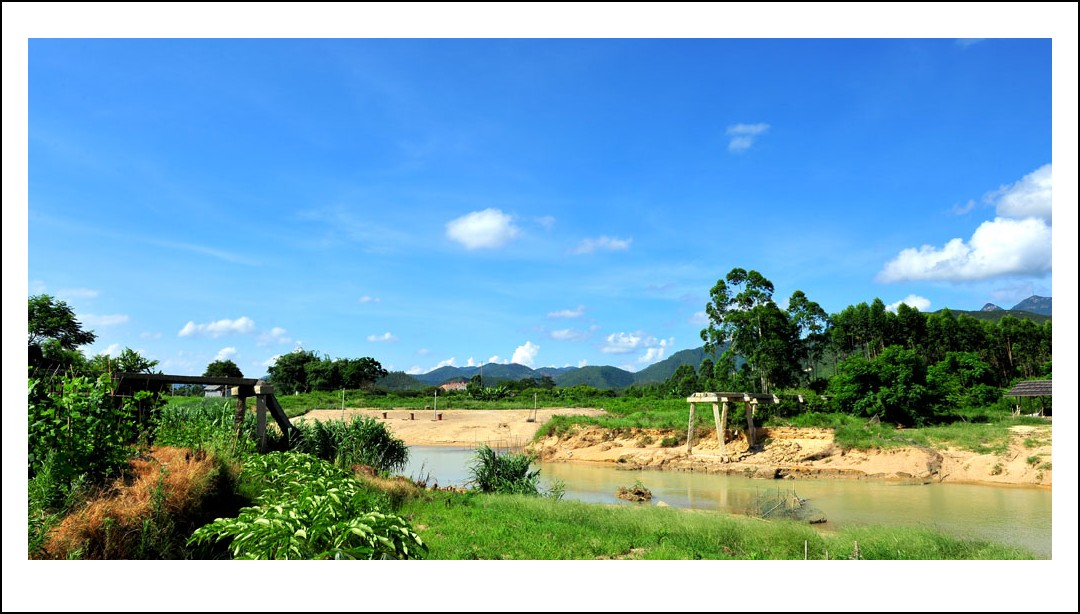 DSC_2494_conew1.jpg