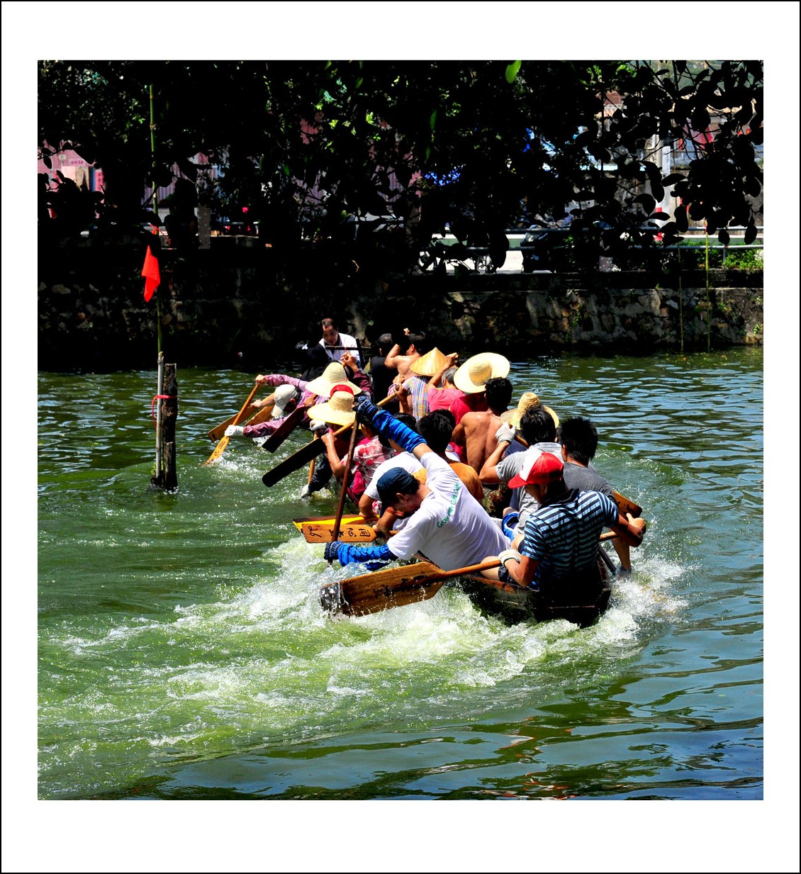 DSC_3163_conew1.jpg