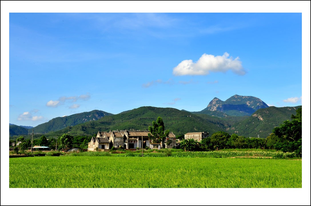 DSC_2604_conew1.jpg
