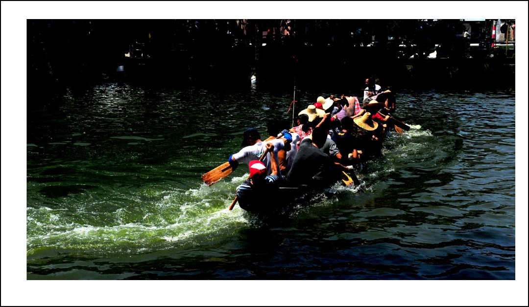 DSC_3201_conew1.jpg