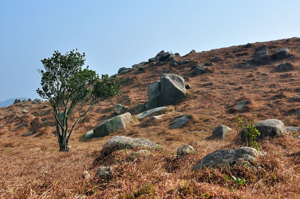 DSC_4334.jpg