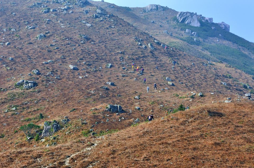 DSC_4304.jpg