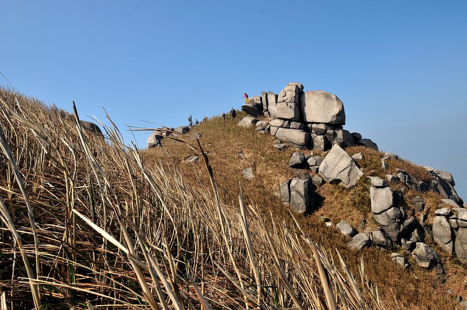 DSC_4029.jpg