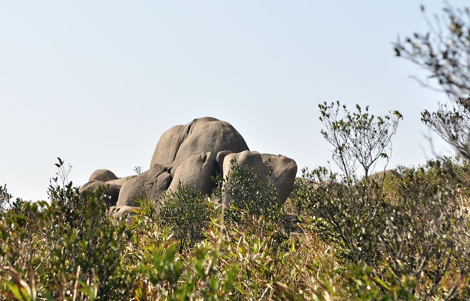 DSC_4168.jpg