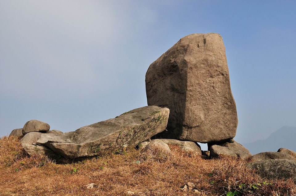 DSC_4401.jpg