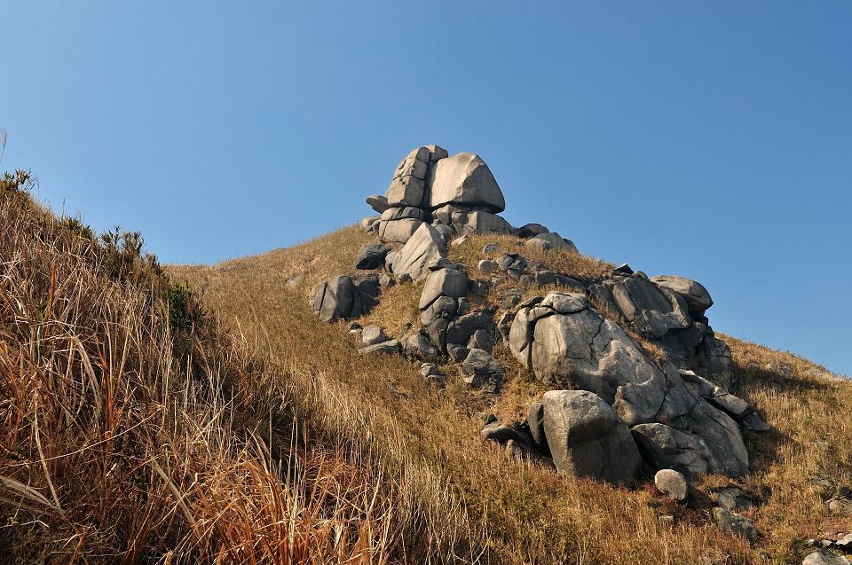 DSC_4019.jpg