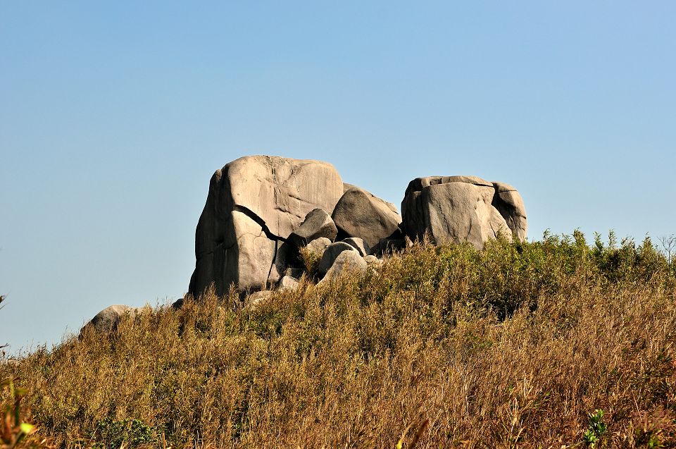 DSC_4186.jpg