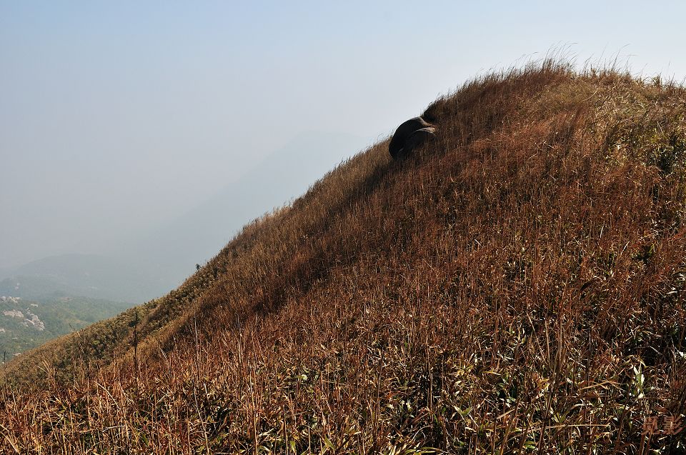 DSC_4040.jpg