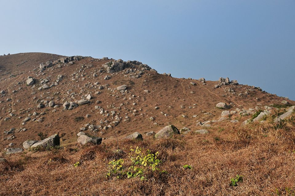 DSC_4403.jpg