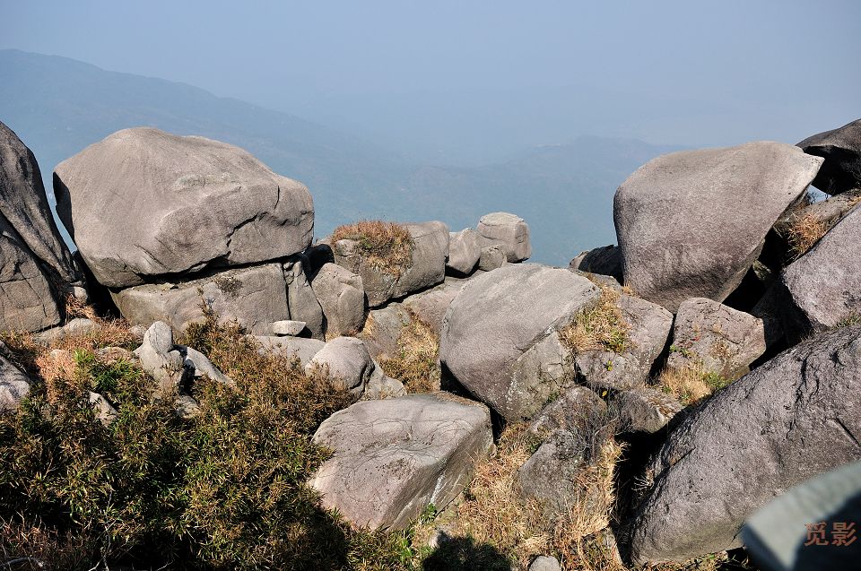 DSC_4125.jpg