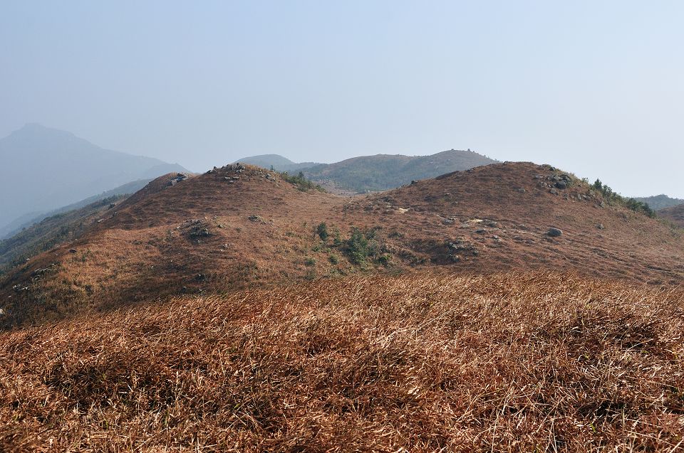 DSC_4308.jpg