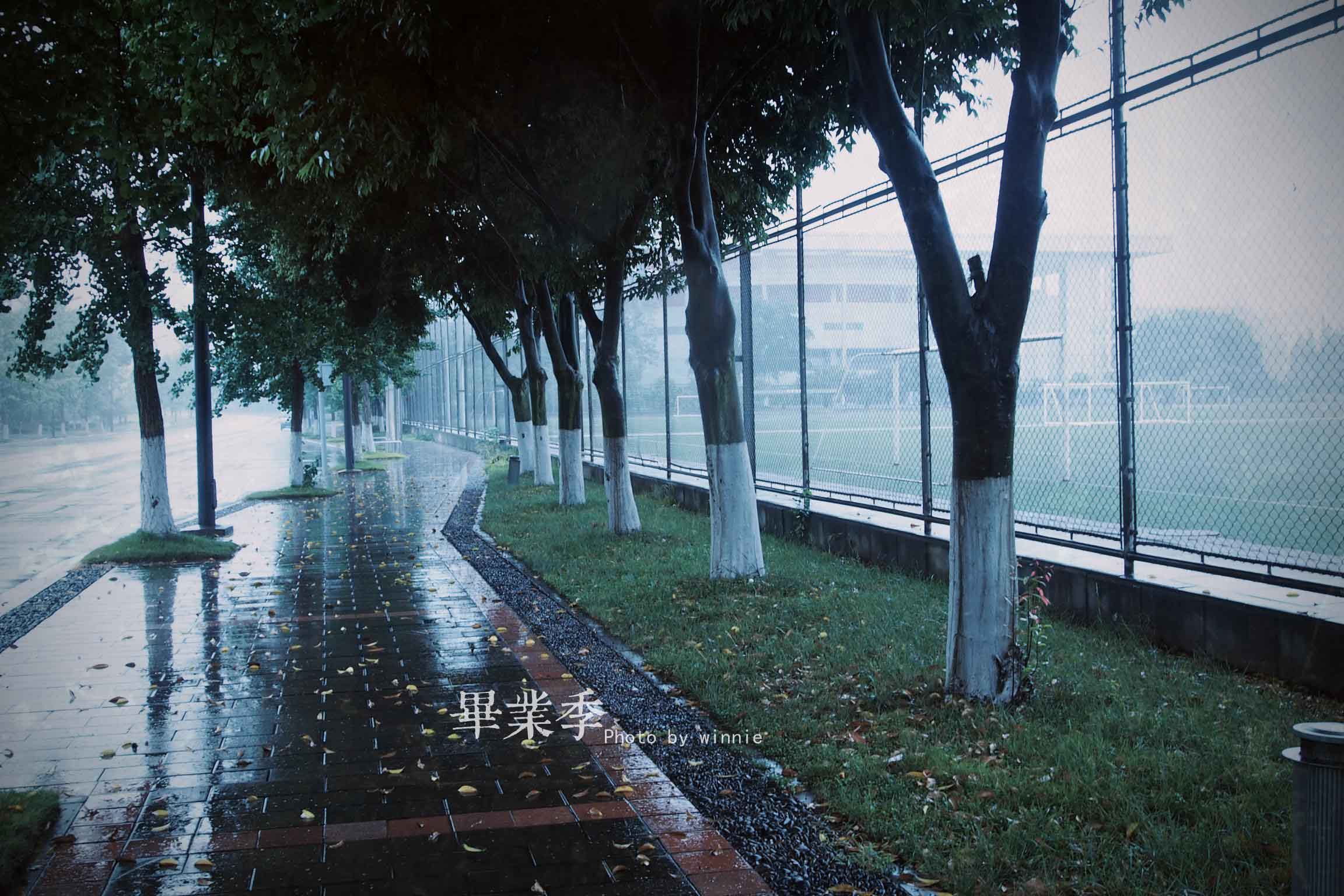 117.jpg