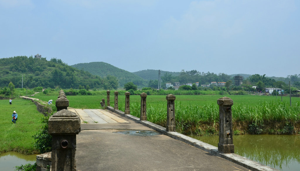 DSC_5660.jpg
