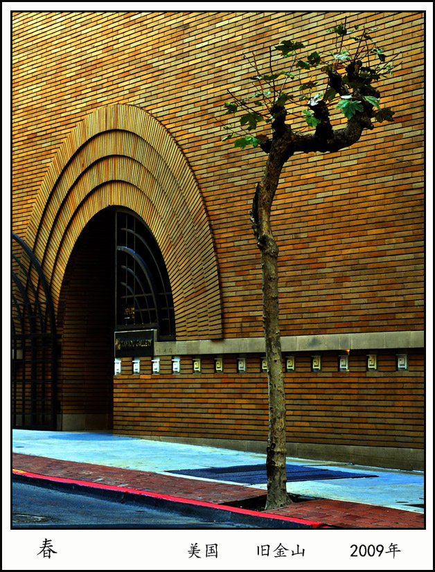 2009 .jpg