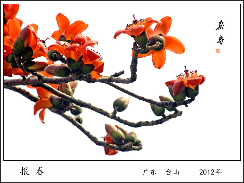 2012 㶫̨ɽ.jpg