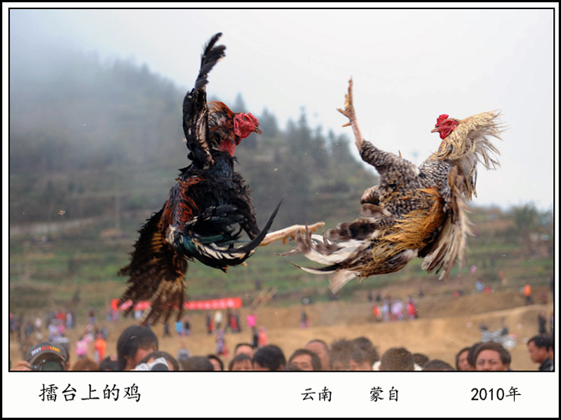 2010̨ϵļ .jpg