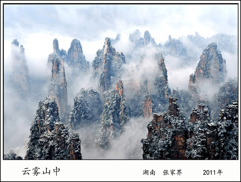 2011ɽ żҽ.jpg