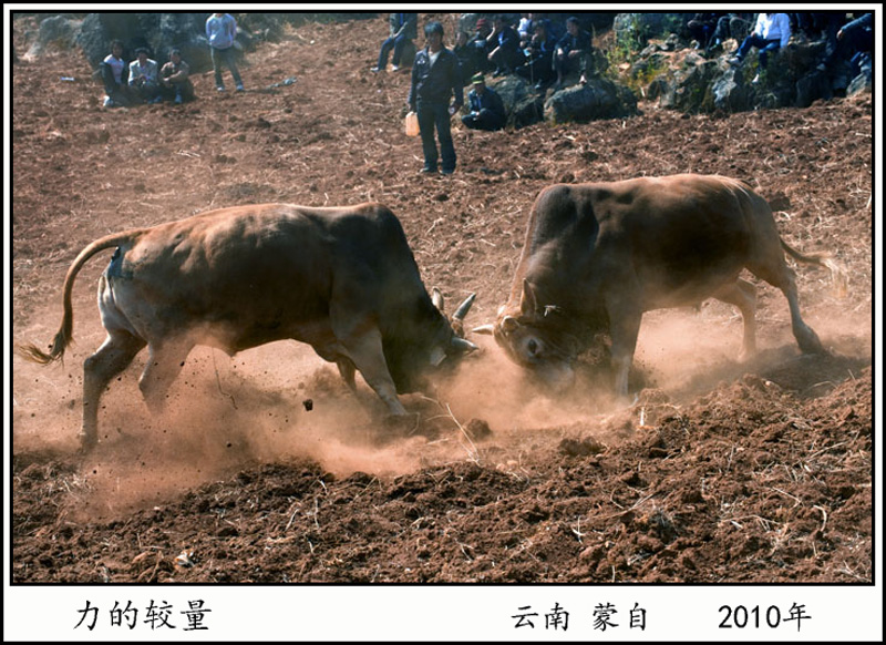 2010Ľ .jpg