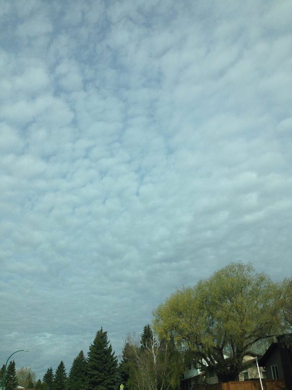 IMG_2851.JPG