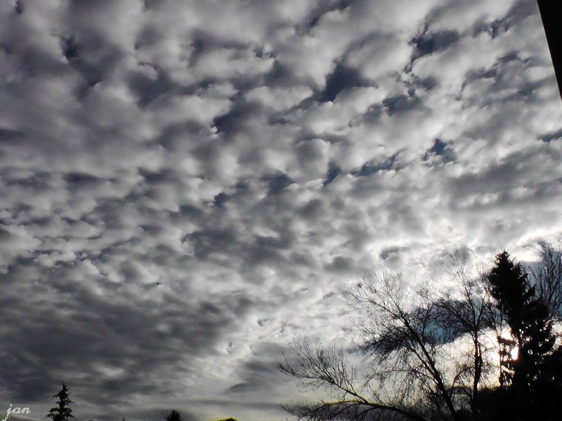 H2630009=.jpg