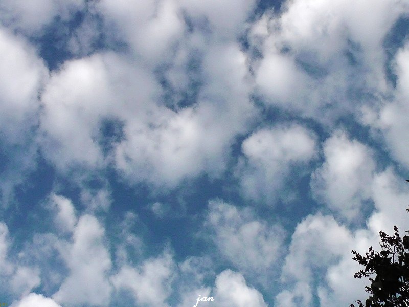 H2630008=.jpg