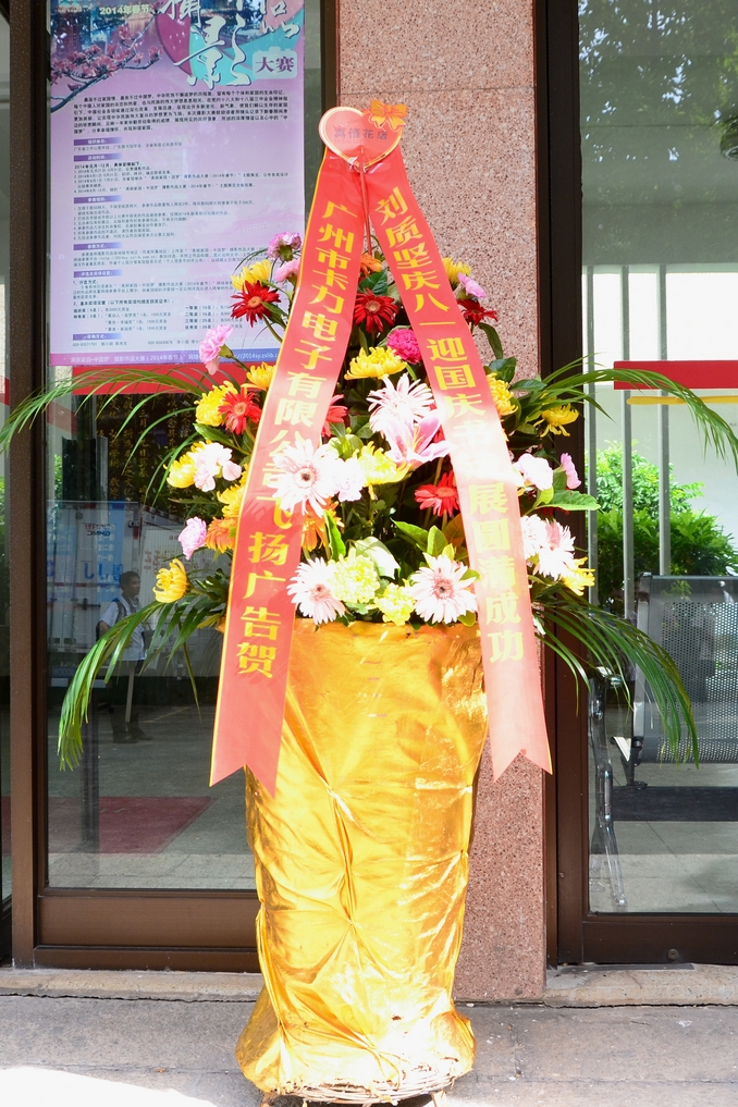 DSC_2819.JPG